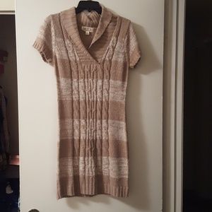 Pink Rose-Sweater Dress